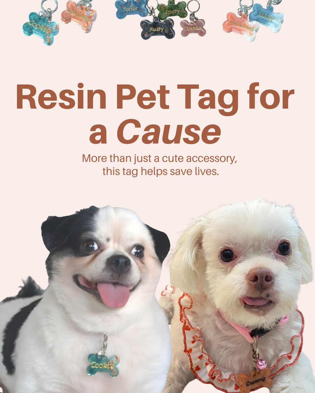Pet Tag