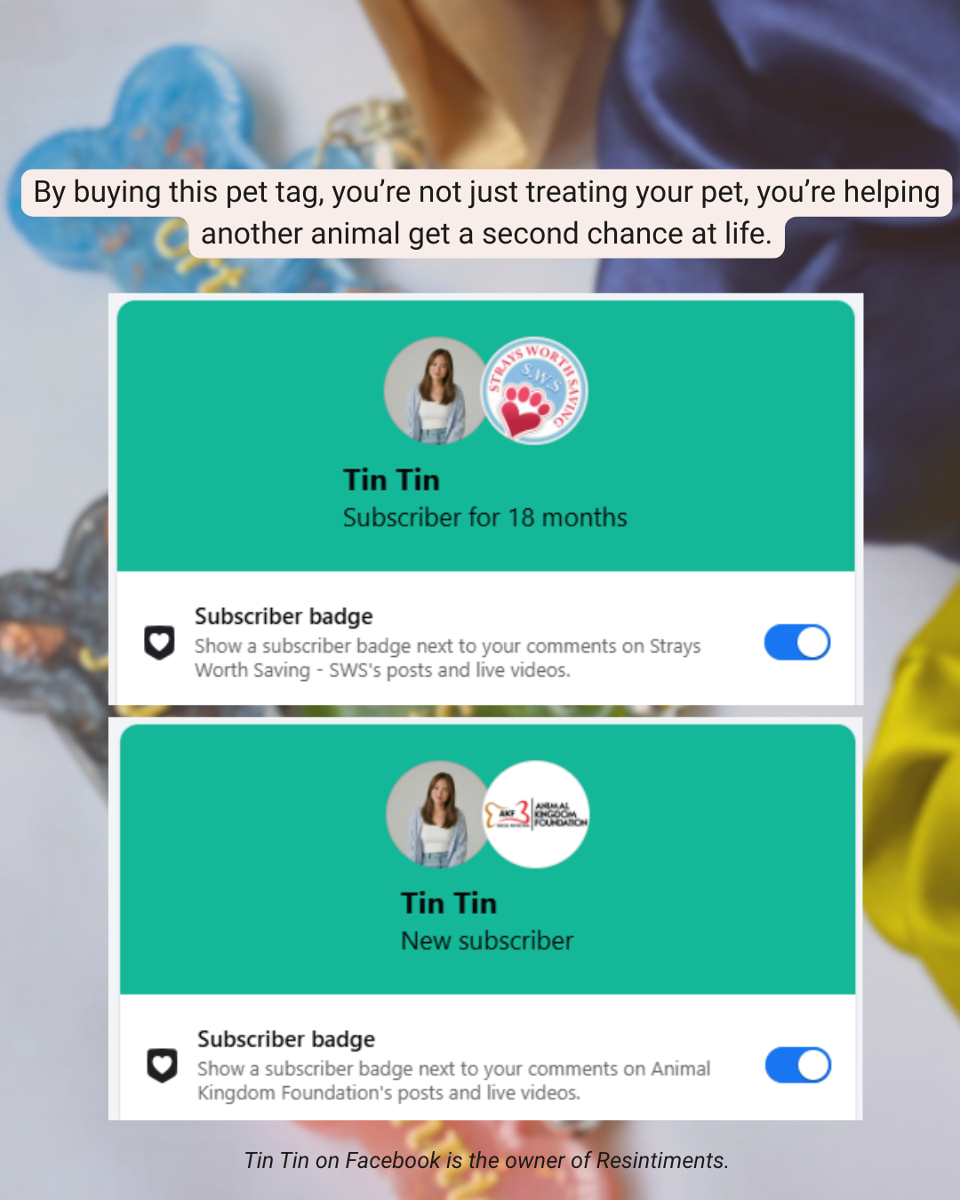 Pet Tag